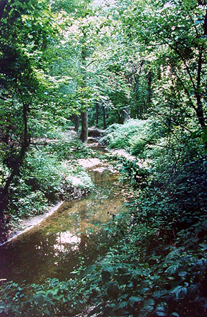 Several small streams criss-cross the valley floor.